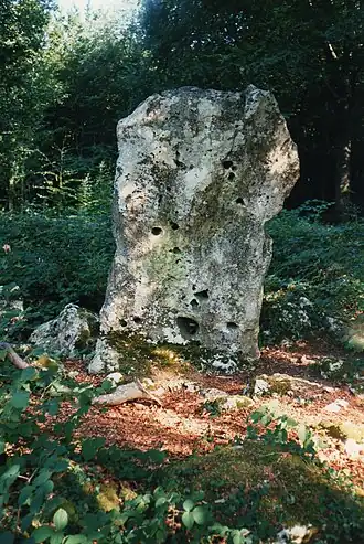 "Het grijze paard", een menhir in Chambain