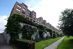 Begroeide muur en pergola