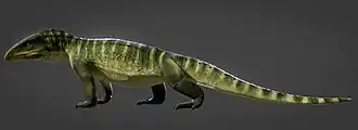 Chasmatosuchus