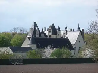 Het kasteel van Boumois