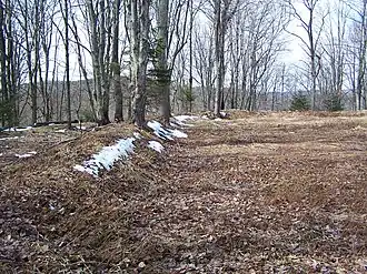 aarden wal bij Fort Summit