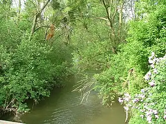 Bij Chernelházadamonya