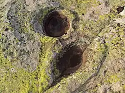 Op het plateau zijn meer dan 300 Thracische ronde gaten gevonden