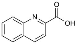 Structuurformule van chinaldinezuur