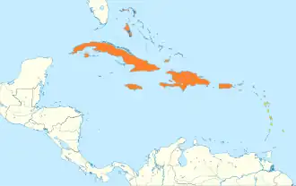 Antilliaanse nachtzwaluw