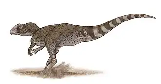 Chuandongocoelurus