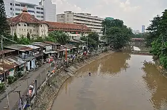 Ciliwung in Jakarta (2010)