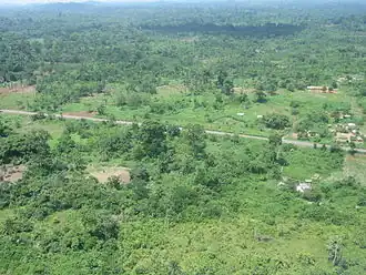 De Ivoriaanse savanne (foto: maart 2008).