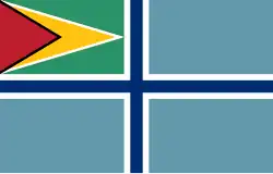 Vlag van de Guyanese cieviele luchtvaart