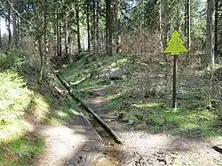 Bron van de Innerste in de Harz