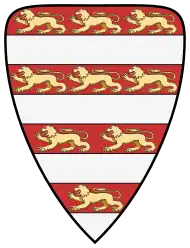 De "Árpád strepen": vier zilveren en vier rode