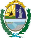 Wapen van Salto