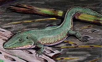 Cochleosauridae