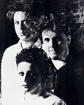 Cocteau Twins in 1986 Van boven naar beneden: Simon Raymonde, Robin Guthrie, Elizabeth Fraser