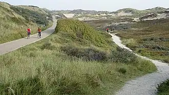 De Coepelduynen gezien richting Noordwijk