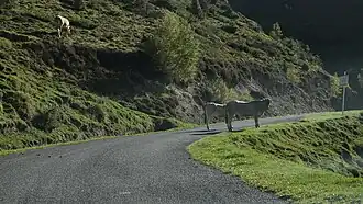 Col de Val-Louron-Azet