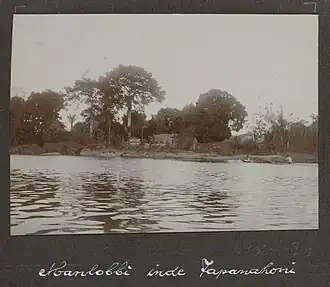 Manlobi, 1903-1904
