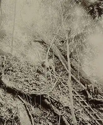 Steile helling van de Magneetrots, 1904