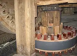 Aswiel met bonkelaar