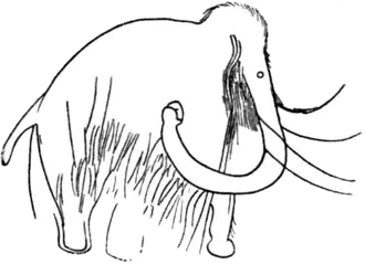 tekening van een mammoet in de Grottes des Combarelles