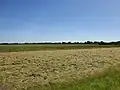 De polder richting het dorp Maasland.