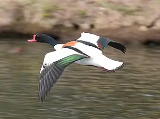Vliegbeeld van boven