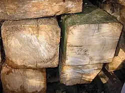 35 x 30 cm oude achtkantstijlen van de Concordia molen