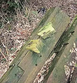 Scheg met deel hondsoor en veldregel van de Concordia molen