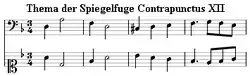 Contrapunctus 12