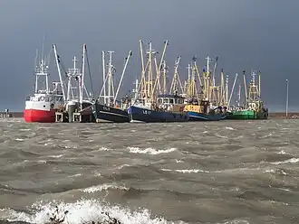 Vissersschepen in de haven van Lauwersoog