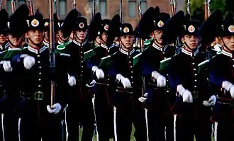 Hans Majestet Kongens Garde