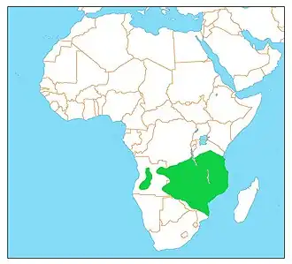 Vlagstaartscharrelaar