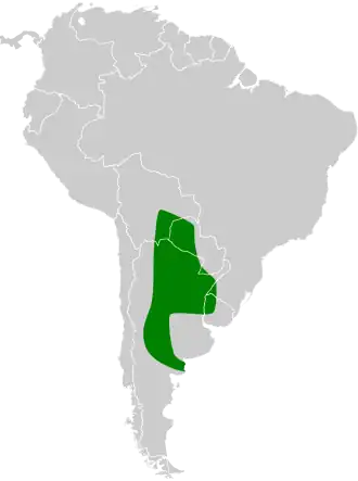 Leeuwerikstruikloper