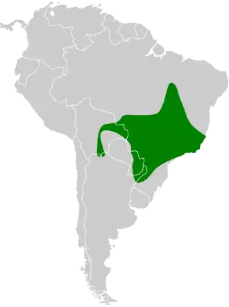 Delalandes piepertiran