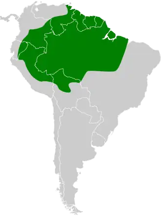 Geringde piepertiran