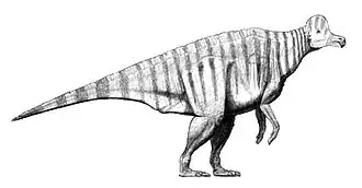 Corythosaurus