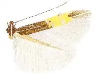 Cosmopterix opulenta