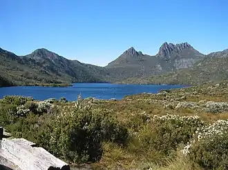 Nationaal park Cradle Mountain-Lake St Clair