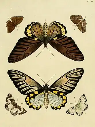 De Uitlandsche Kapellen deel 1, plaat XL