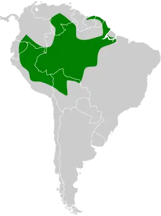 Gespikkelde stekelstaart