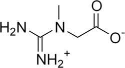 Structuurformule van creatine (als Zwitterion)