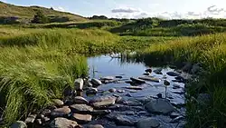 Beekje nabij Bay de Verde