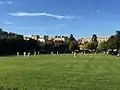 Cricketspelers op het grasveld
