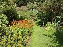 Een aangeplante (zeer onnatuurlijke) zoom in de Chelsea Physic Garden.