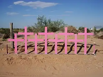 Acht roze kruizen, met op de achtergrond een woestijnlandschap