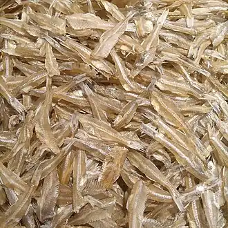 Hemisalanx brachyrostralis