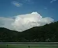Cumulus congestus