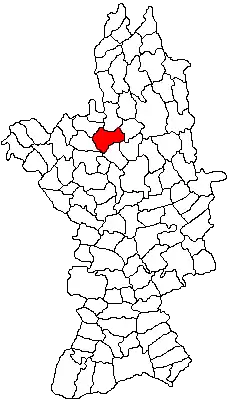 Kaart van Curtișoara