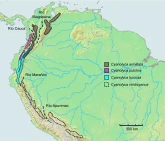 4 soorten in Zuid-Amerika