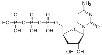 Structuurformule van cytidinetrifosfaat